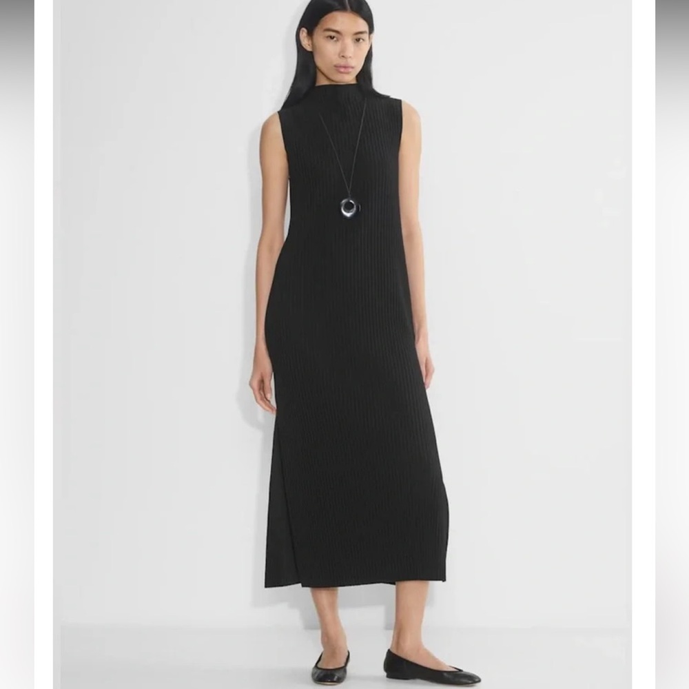 Aritzia Babaton OPTIMIZE DRESS